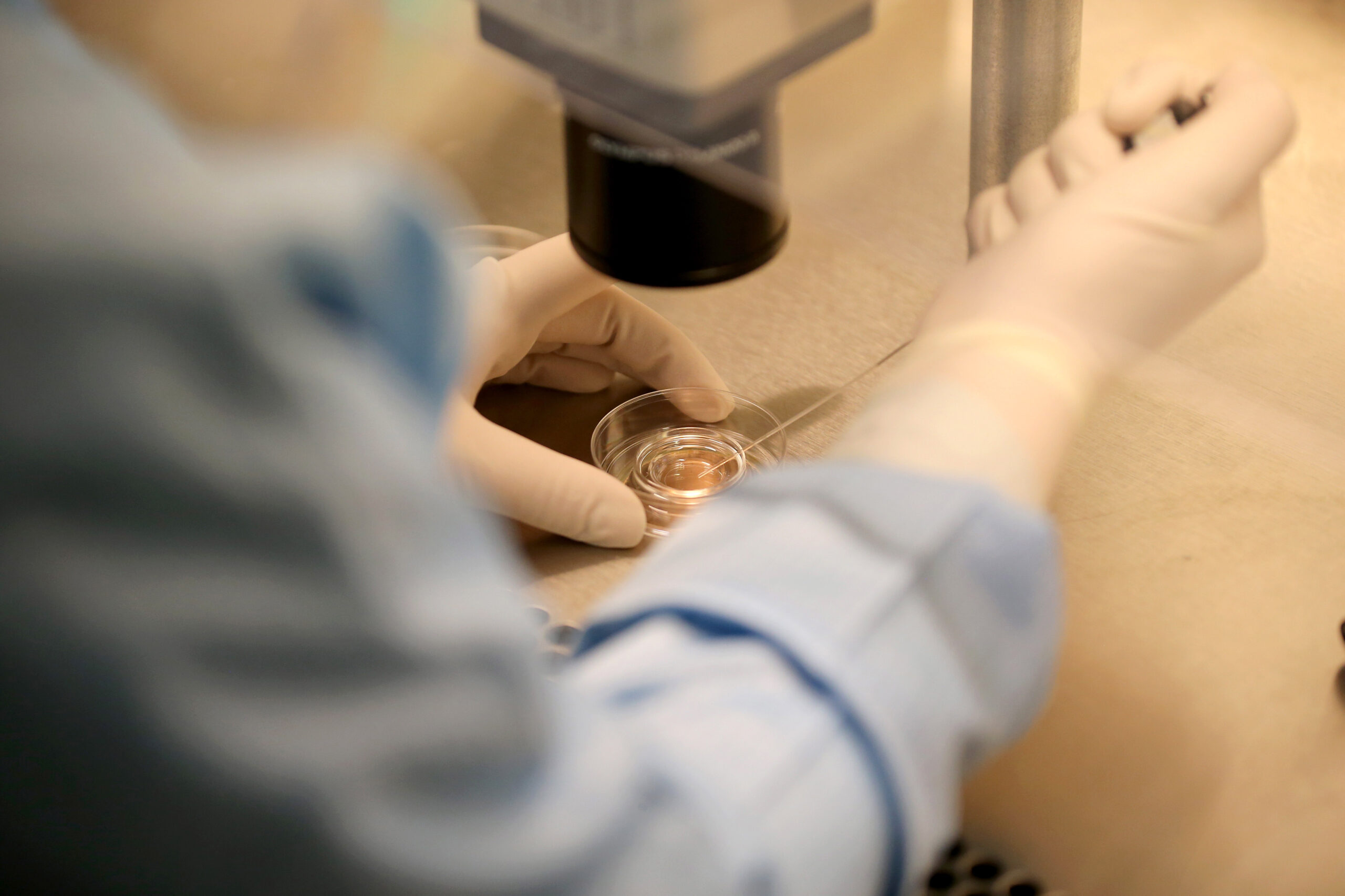 Fertility industry in dire need of oversight