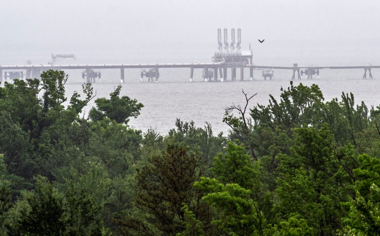 This photo taken June 12, 2014 shows a half-a-mile long, the Dominion Energy's Cove Point LNG Terminal's offshore loading platform, a mile offshore seen from the facilities nature preserve which surround the plant in Lusby, Md. Richmond, Virginia-based Dominion wants to build the $3.8 billion project at its existing Cove Point liquefied natural gas terminal on the bay, which the company used for years to import natural gas. Now, thanks to a boom in natural gas fueled by hydraulic fracturing, Dominion has contracts to export natural gas to Japan and India, where gas prices are higher than in the U.S.  (AP Photo/Cliff Owen)