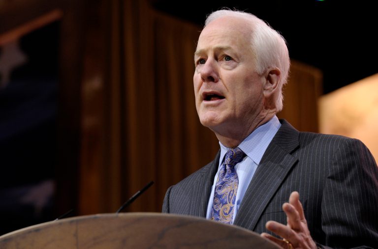 Senate Minority Whip John Cornyn, R-Texas, speaks at the Conservative Political Action Committee annual conference in National Harbor, Md., Friday, March 7, 2014. (AP/Susan Walsh)
