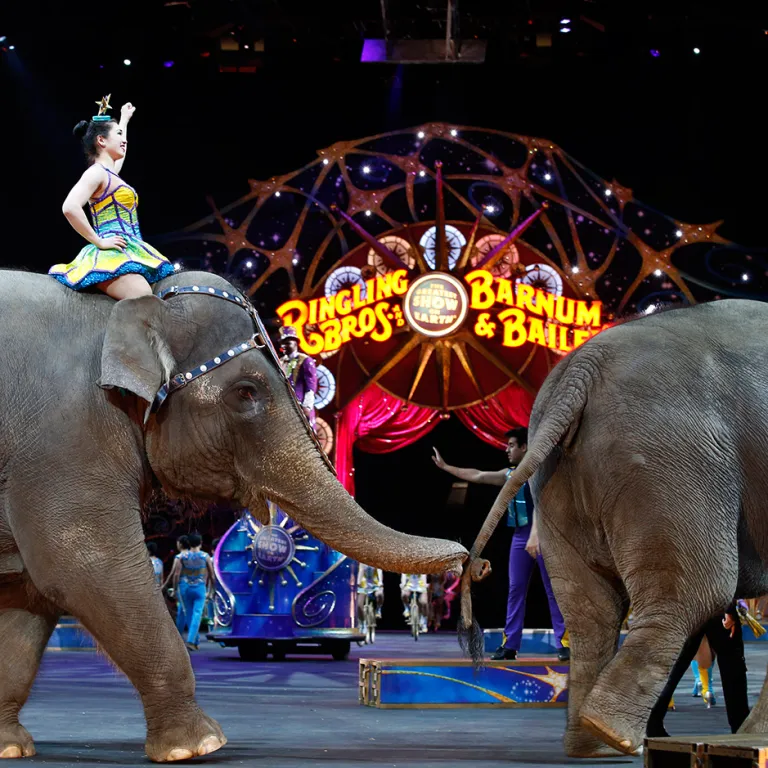 Circus at Sunset