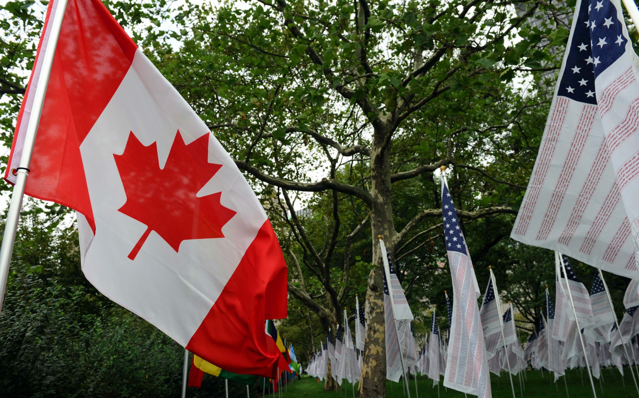 What it’s like to be an American voter in Canada