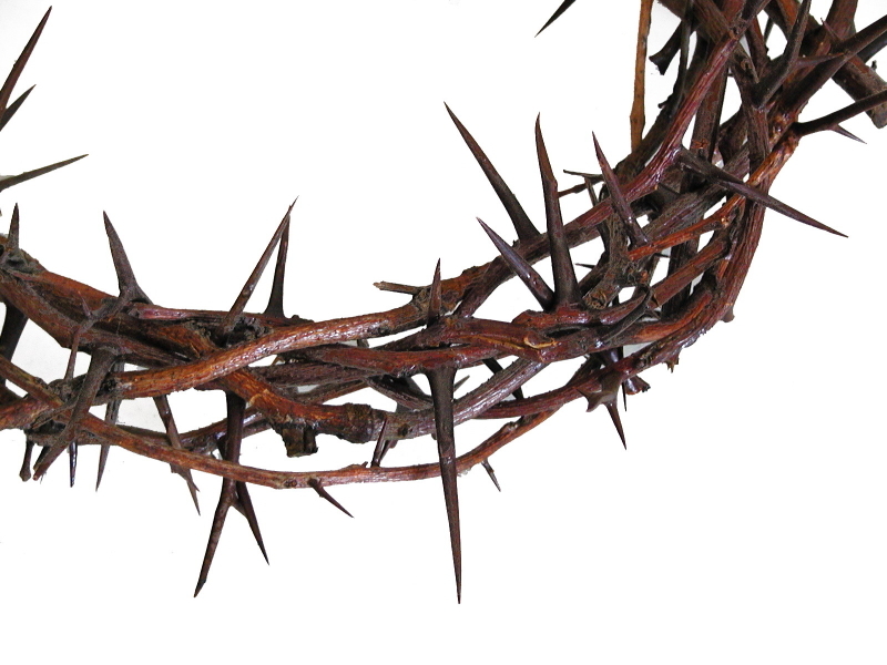 Christianity grounded in the historical fact of the resurrection