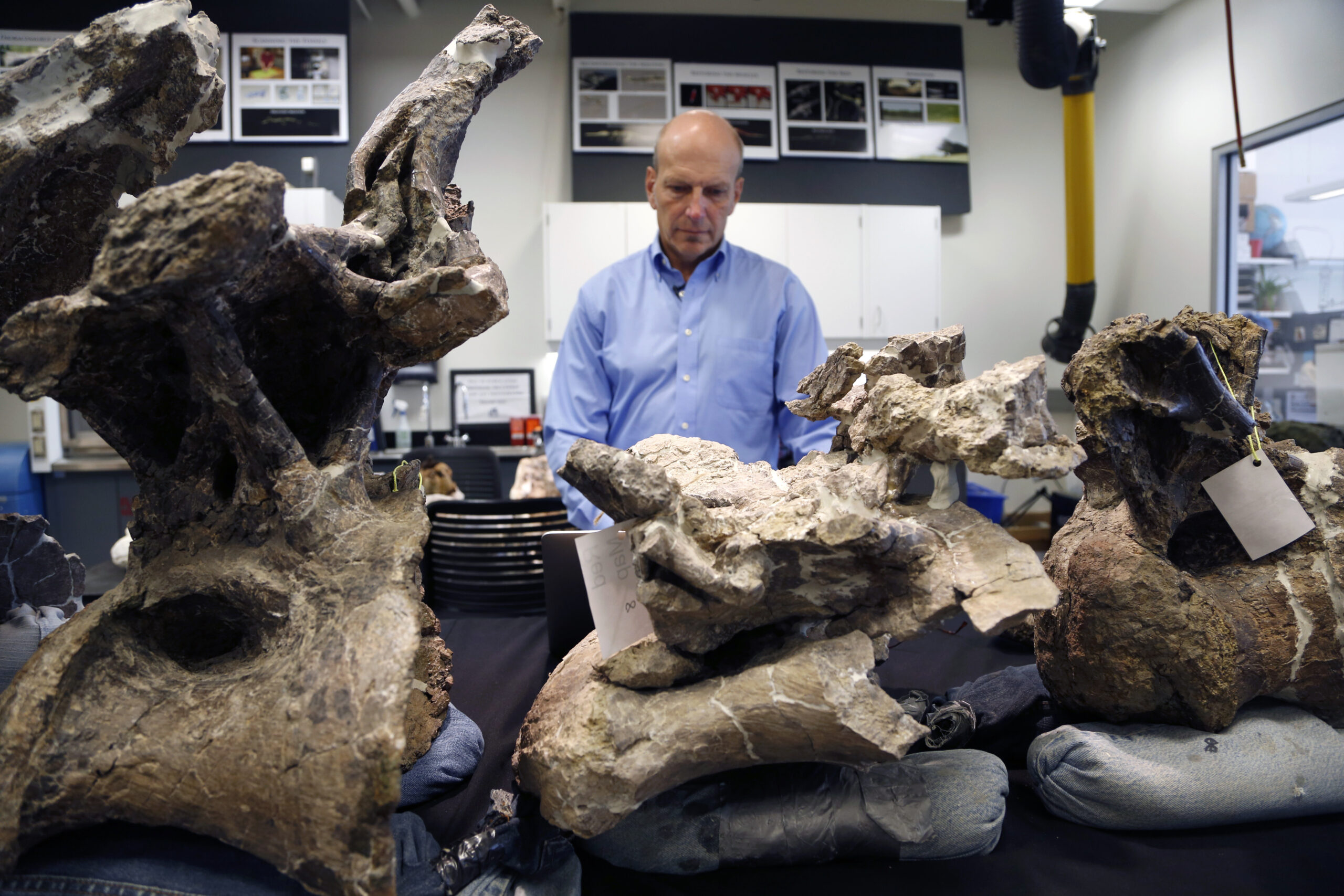 Argentine dinosaur may shed light on huge beasts