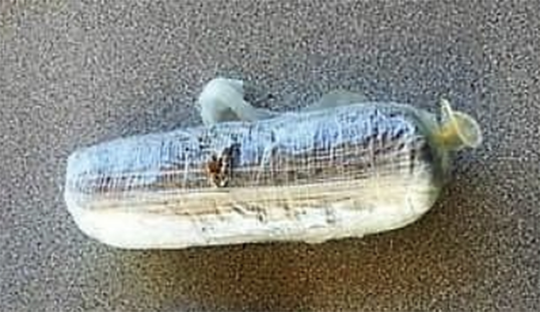 Border agents bust woman with burrito-sized condom full of heroin