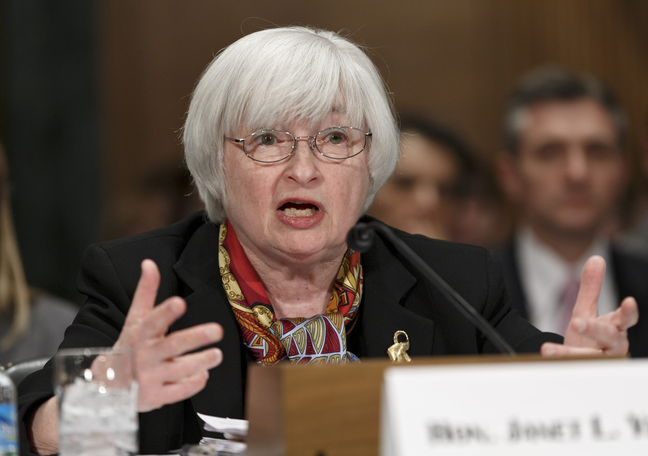 Janet Yellen: Federal Reserve could pause the taper if slowing growth is more than bad weather