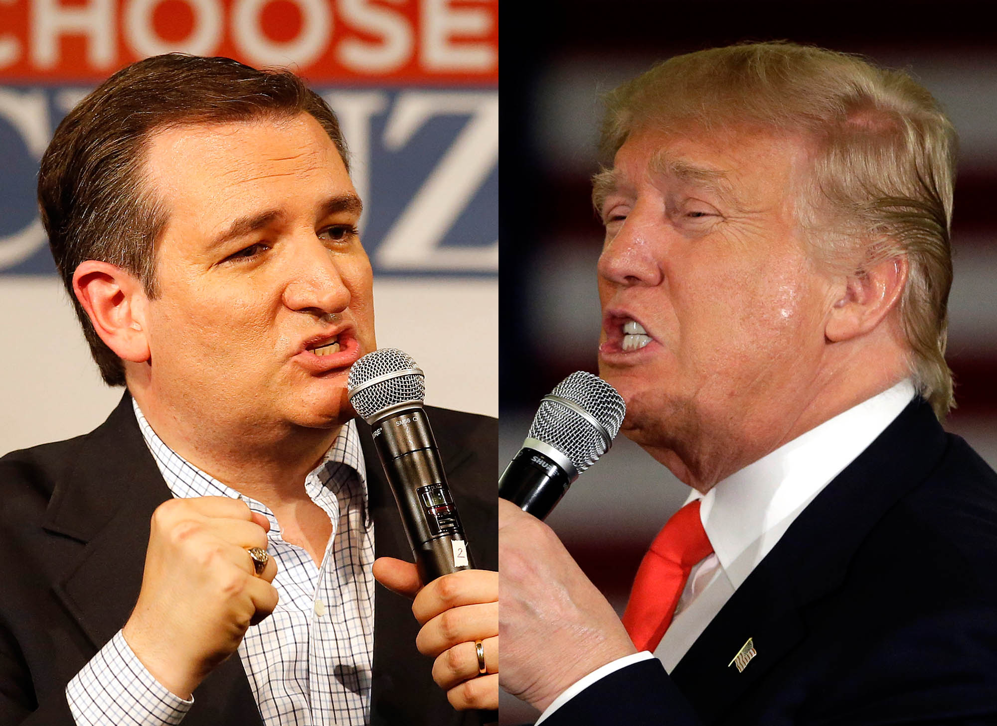 Poll: Cruz within striking distance of Trump nationally