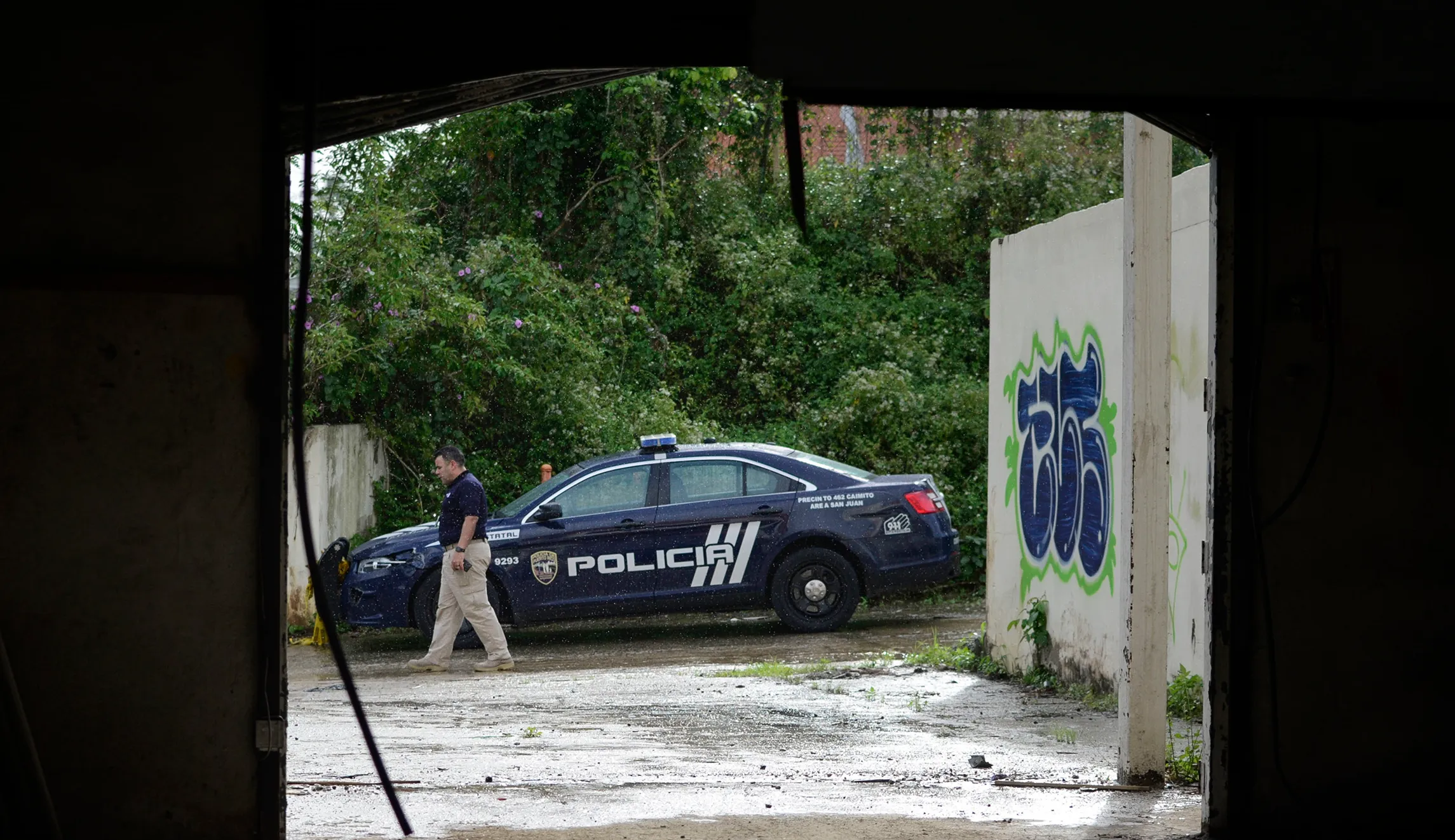 Puerto Rico fears murder surge after Maria