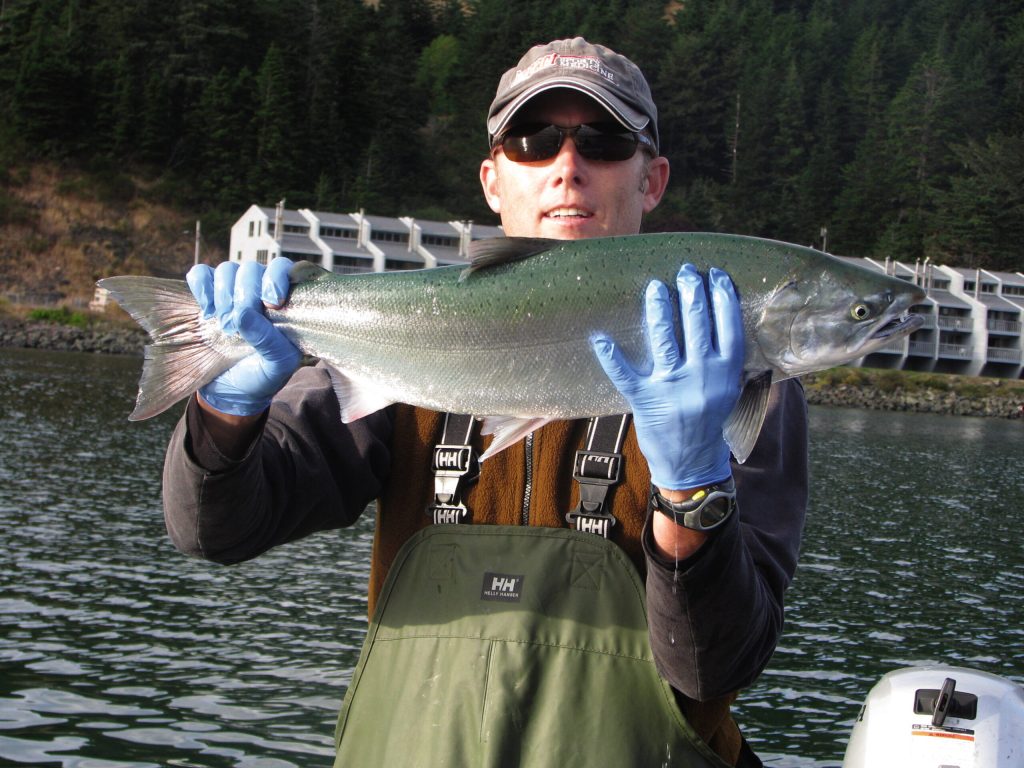 Biologists identify pot gardens as salmon threat
