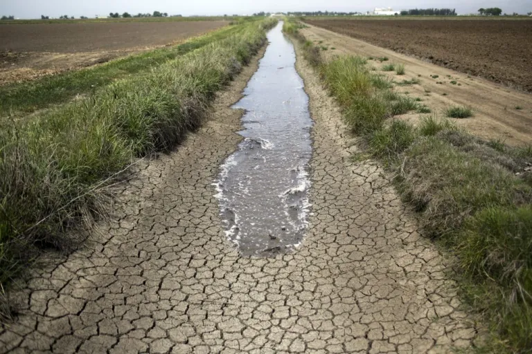 Irrigation water runs along a dried-up ditch between rice farms in Richvale, California.