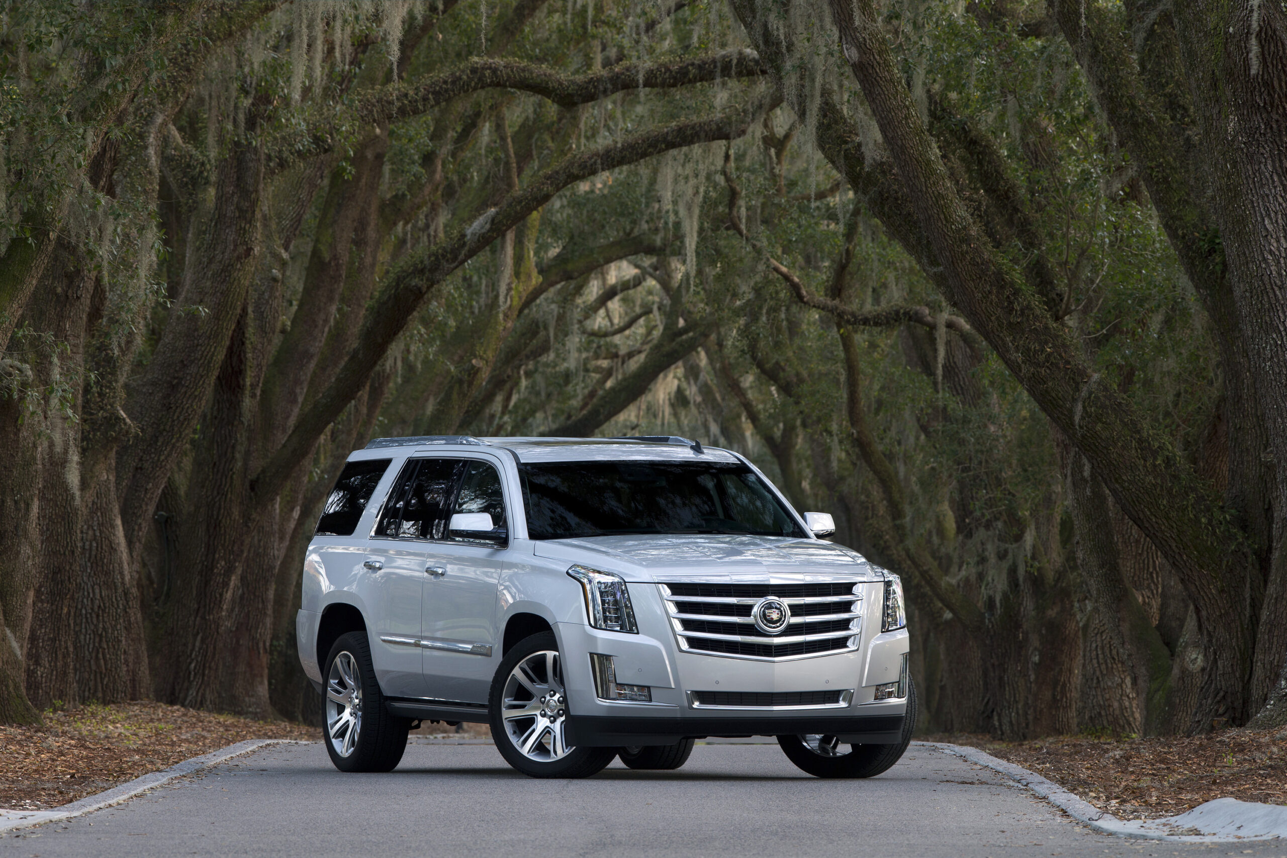 Redesigned 2015 Escalade remains breed all its own