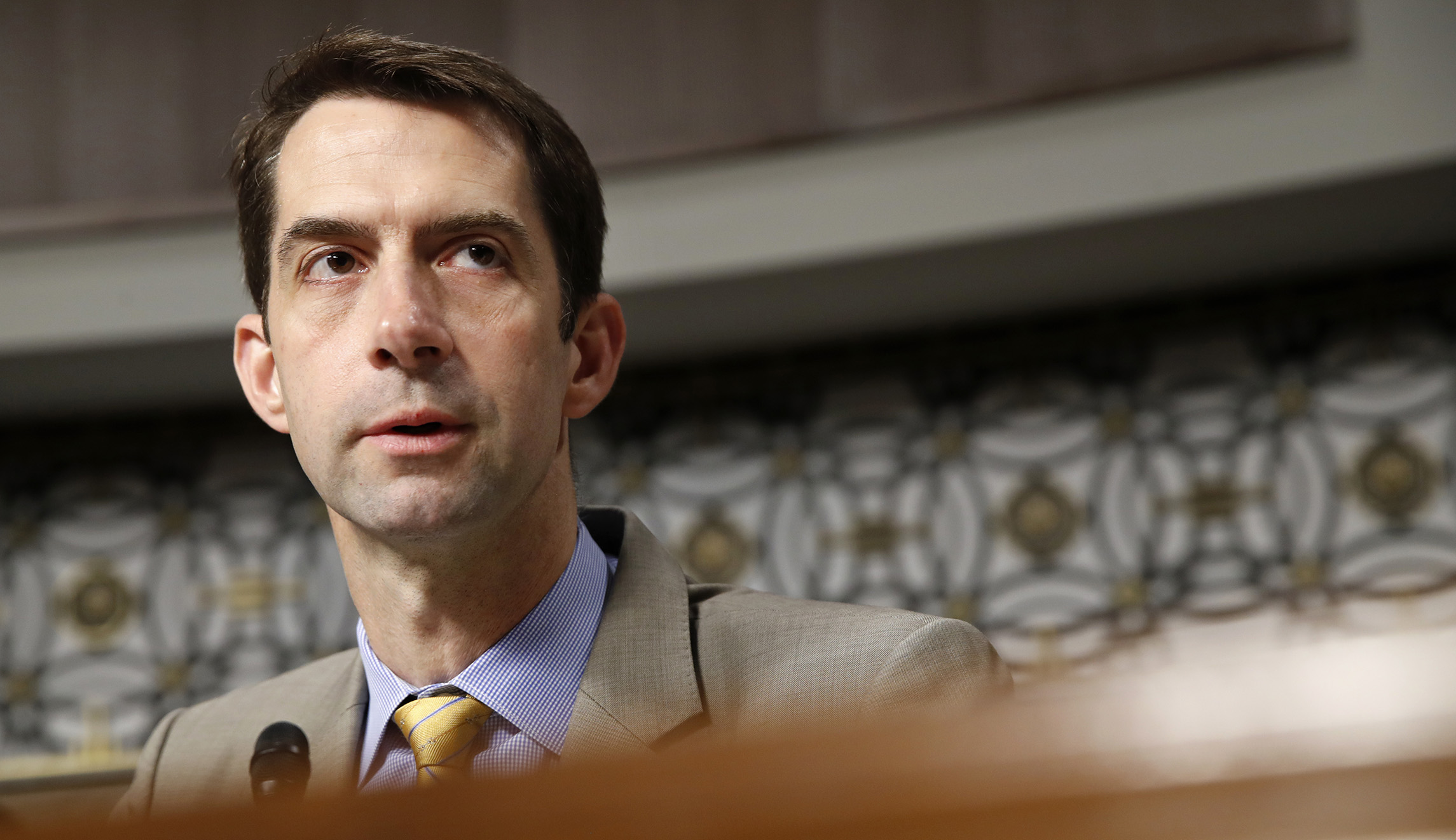 Tom Cotton predicts ‘consensus’ around his new immigration bill