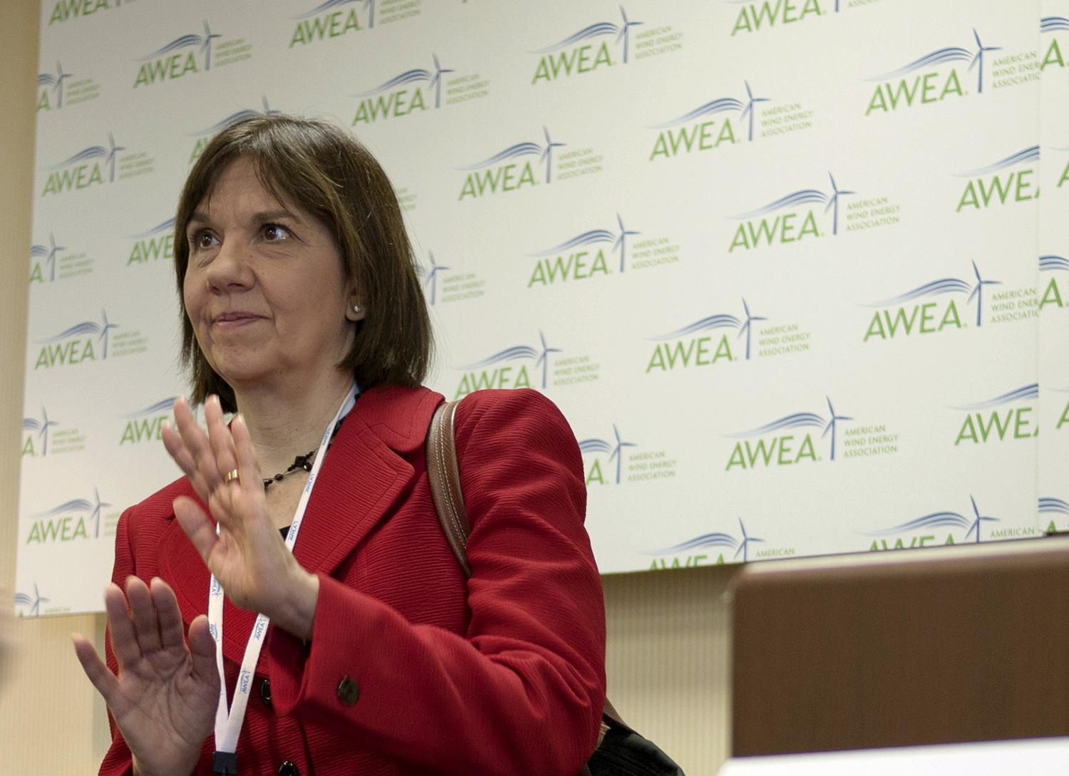 Federal grid watchdog heads into limbo