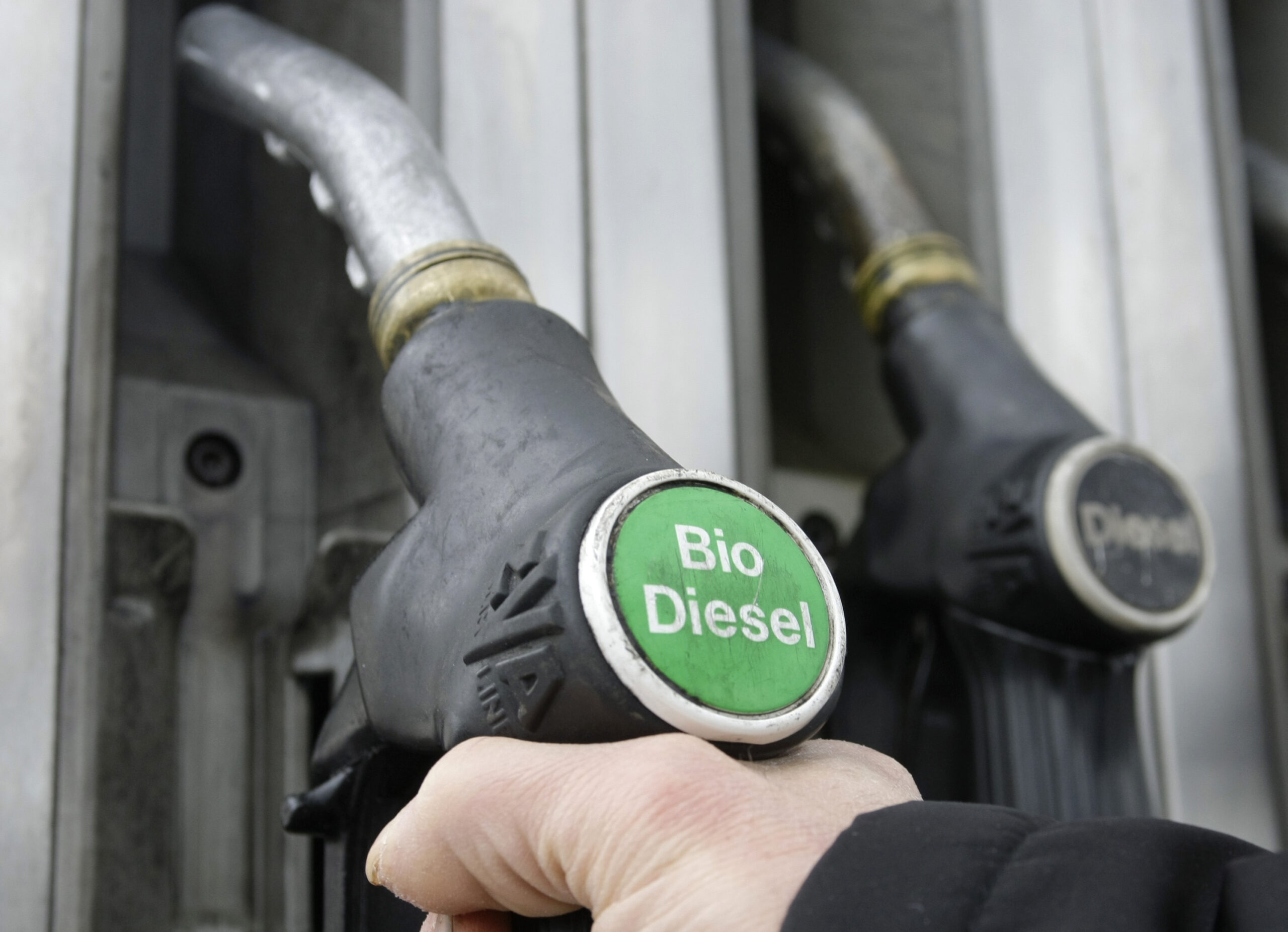 Senators want more biodiesel in cars