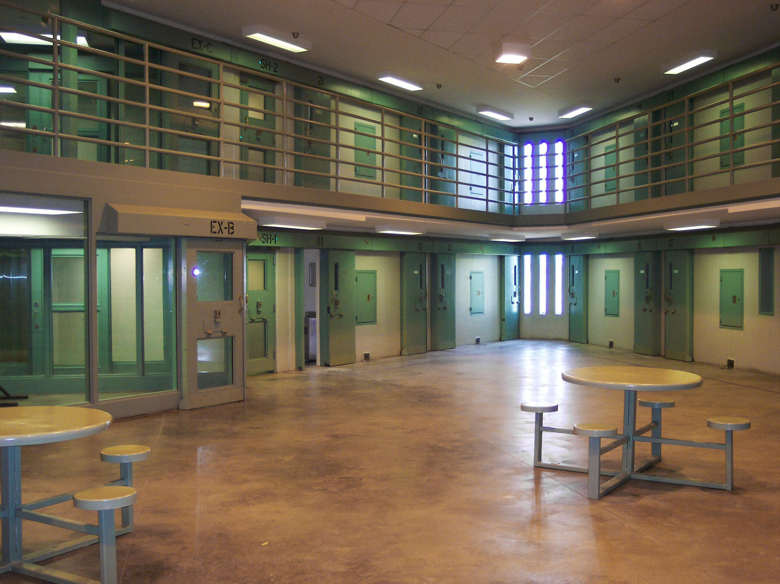 Solitary confinement and its costs