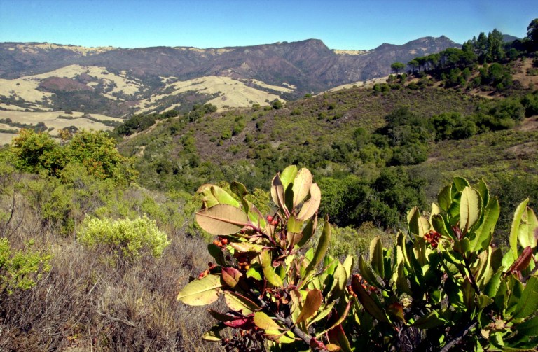 The American Land Conservancy issued a $178 million grant to the California Rangeland Trust â Hearst Ranch, the single biggest Big Green grant. (AP File)