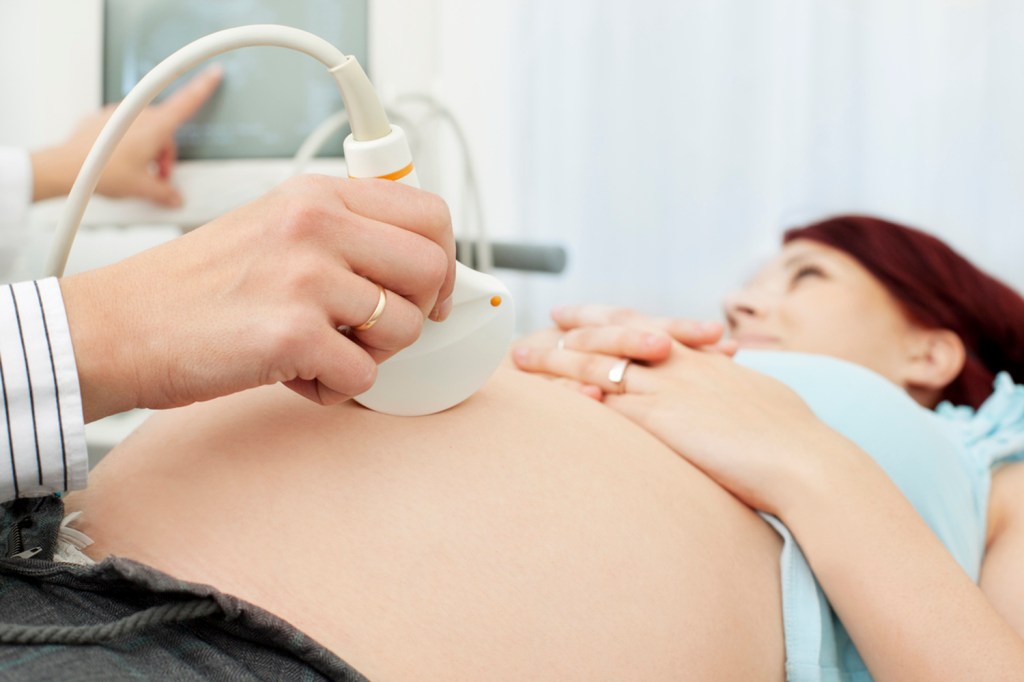 Fetal development 101