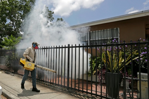 The entire Florida congressional delegation wants the federal government to give more funding to the state to fight the Zika virus, which is spreading by mosquito bites in a small area of Miami. (AP Photo/Alan Diaz)