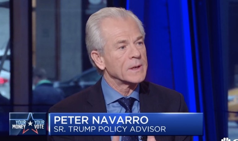 Peter Navarro, Trump's new White House trade czar, ran for mayor of San Diego in 1992 with the backing of the local Democratic machine. (Screenshot)