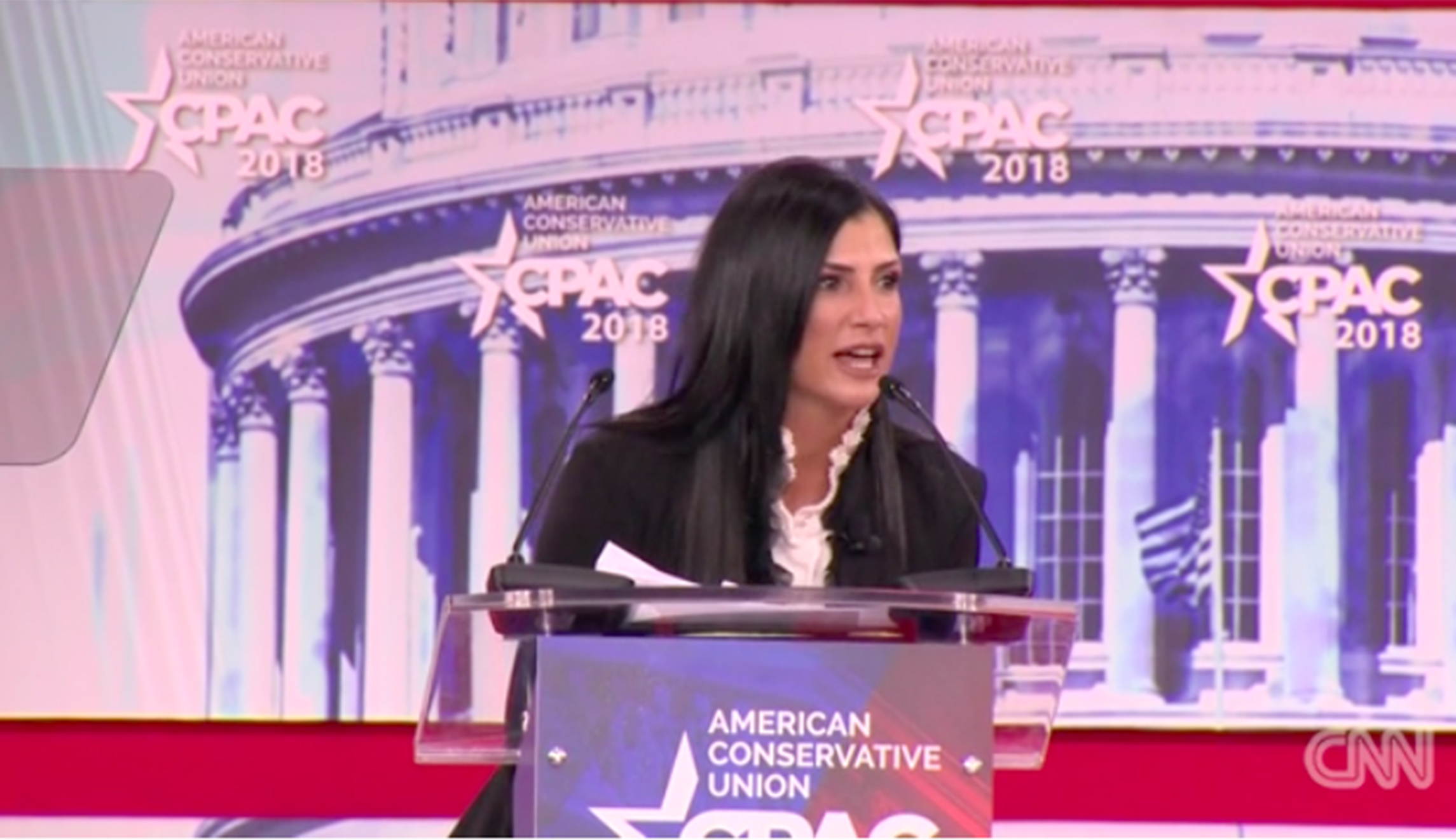 NRA spokeswoman Dana Loesch: ‘Legacy media love mass shootings’