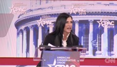 NRA spokeswoman Dana Loesch: ‘Legacy media love mass shootings’