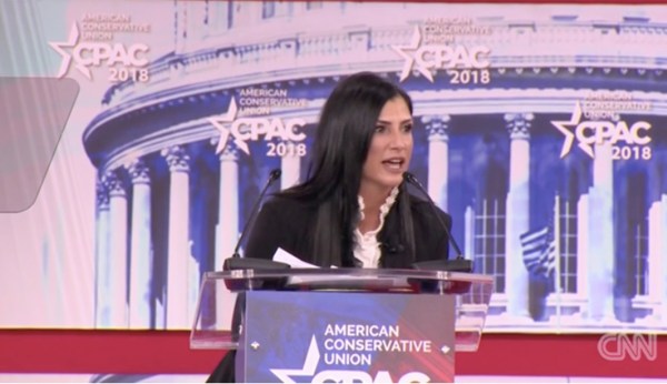 NRA spokeswoman Dana Loesch: ‘Legacy media love mass shootings’