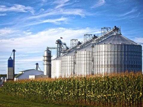 Opponents of biofuel mandate prepare for renewed congressional push