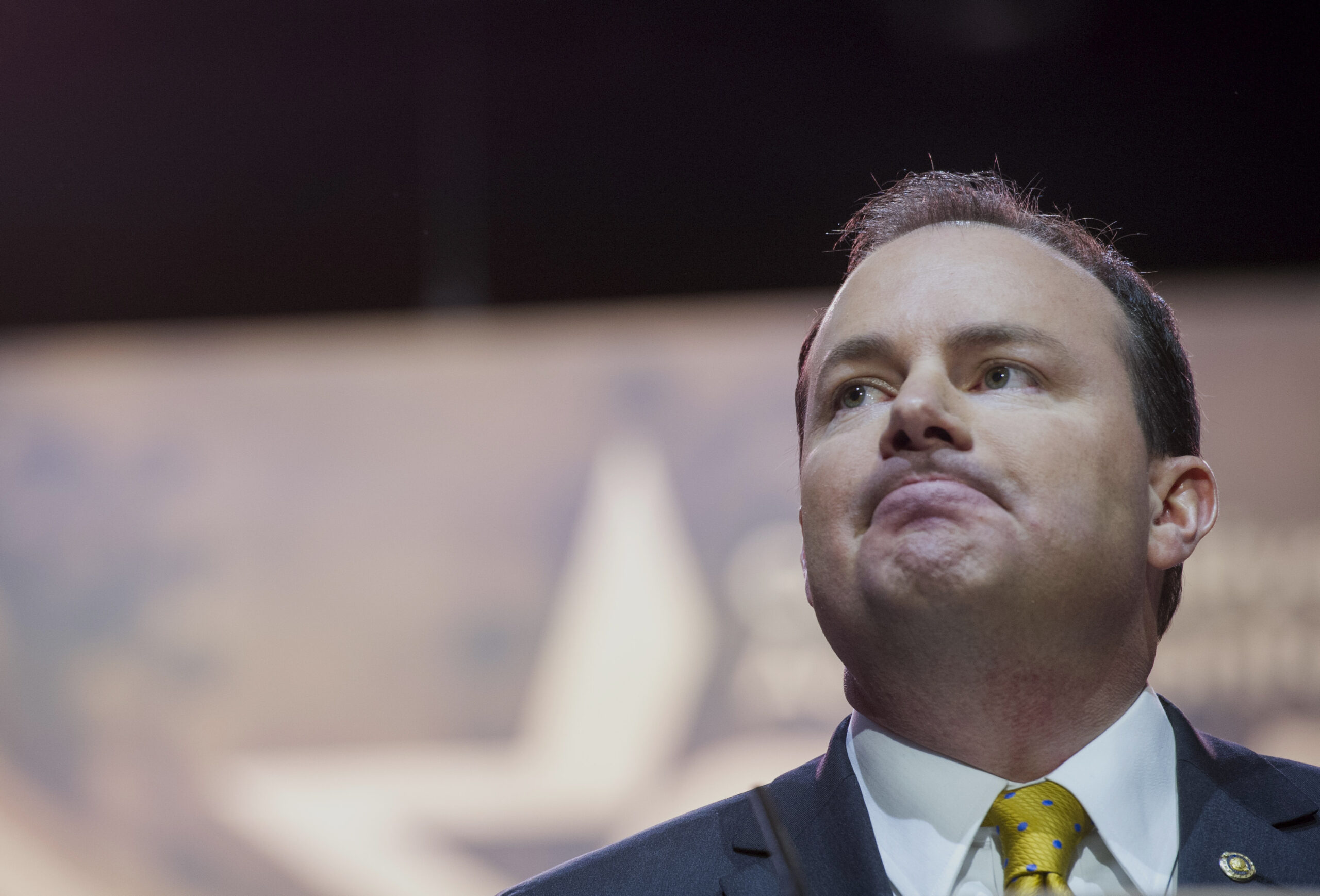 Mike Lee’s agenda could make 2014 elections about crony capitalism