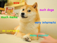Internet gold: Doge + Bitcoin = Dogecoin
