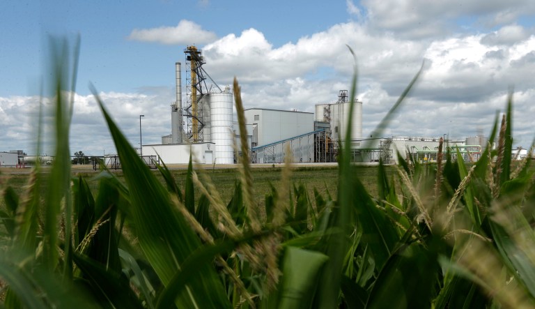 An ethanol plant stands next to a cornfield near Nevada, Iowa. Cellulosic ethanol was supposed to be the next generation, and an improvement. But it hasn't panned out. (AP Photo/Charlie Riedel)