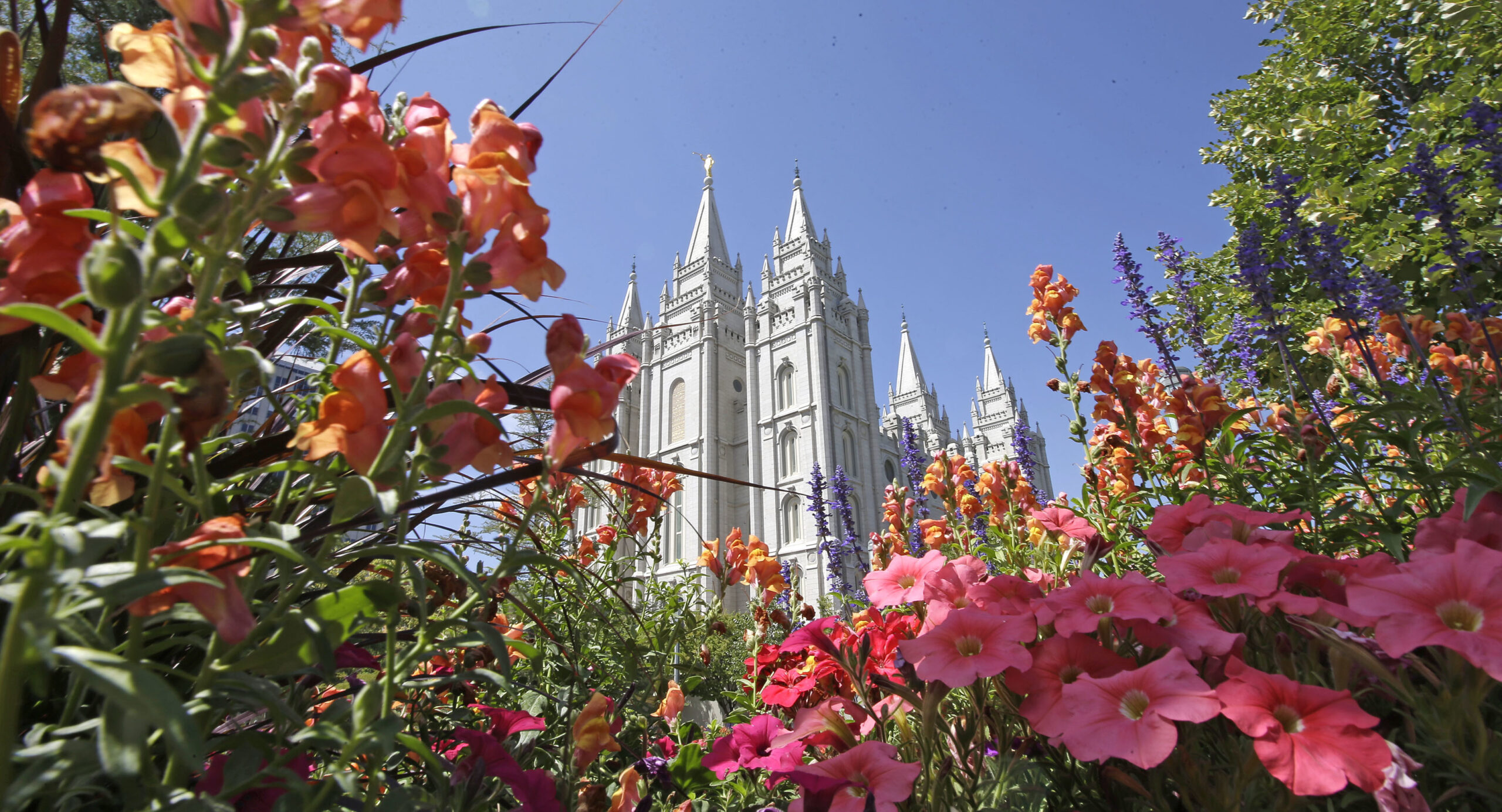 Mormon newspaper: It’s time for Trump to go