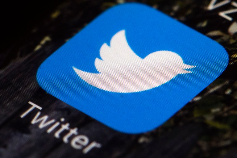 Advocates target Twitter political accounts for regulation. (AP Photo/Matt Rourke)
