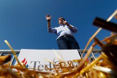 Can Cruz kill King Corn?
