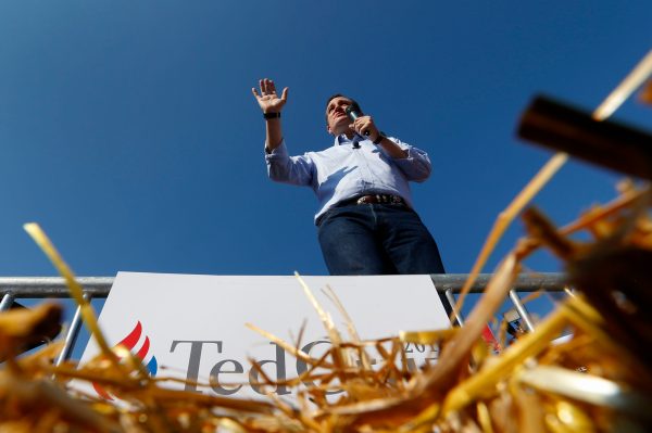 Can Cruz kill King Corn?