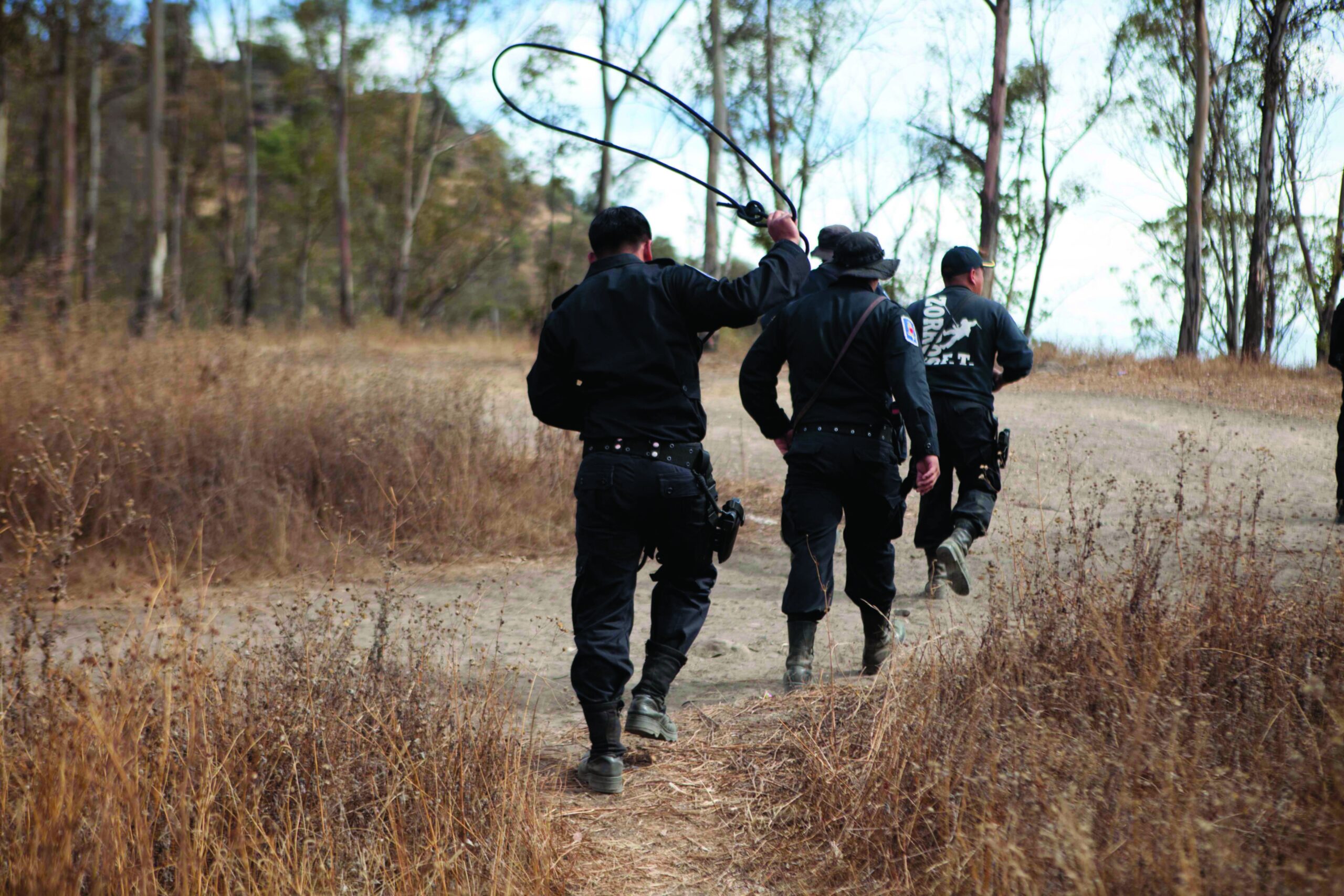 Mexico City feral dog killings open debate
