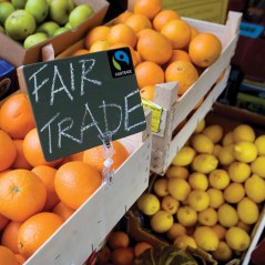 If Not Free Trade, Then What?