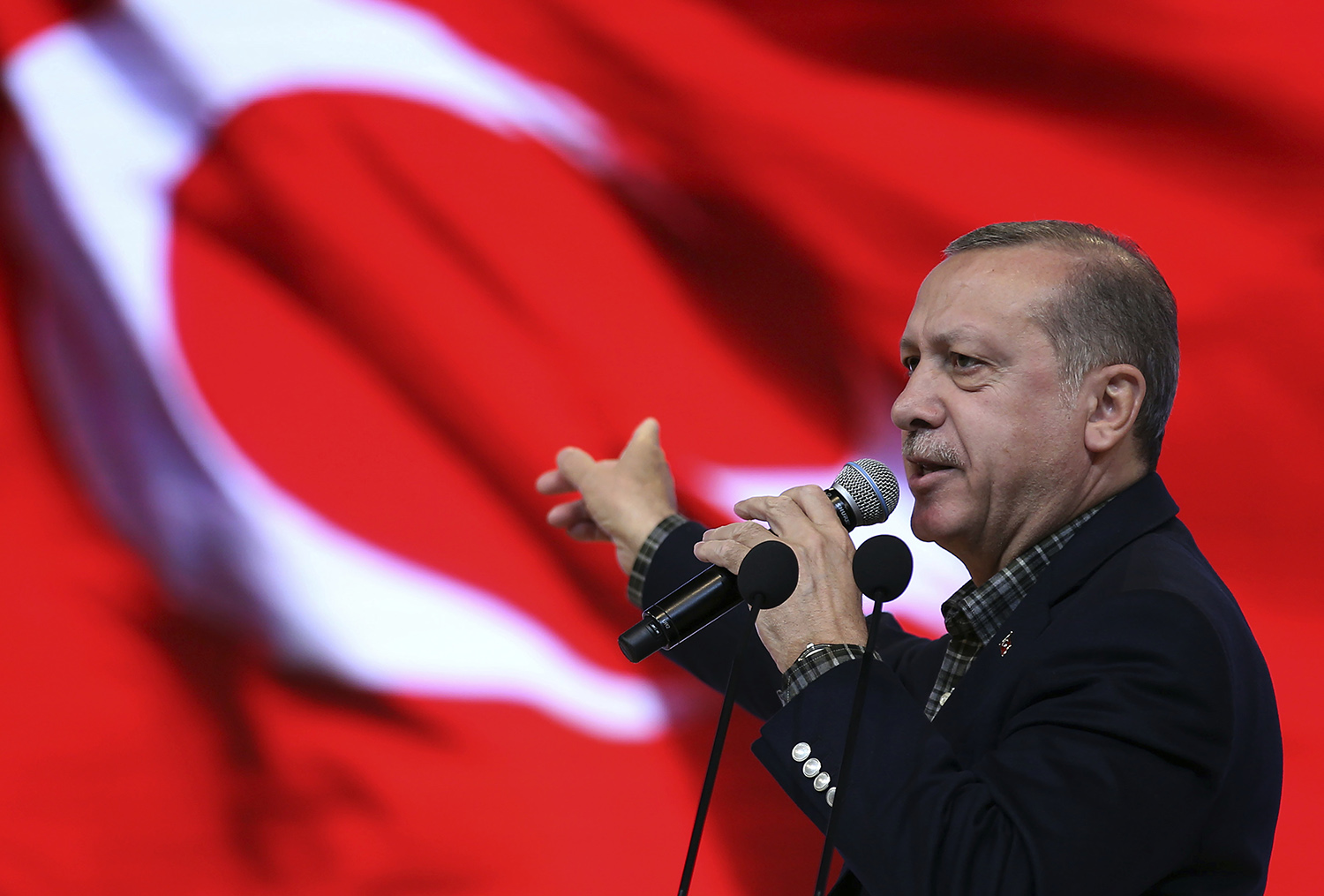 The Germans are acting like Nazis, says Turkey’s President Erdogan