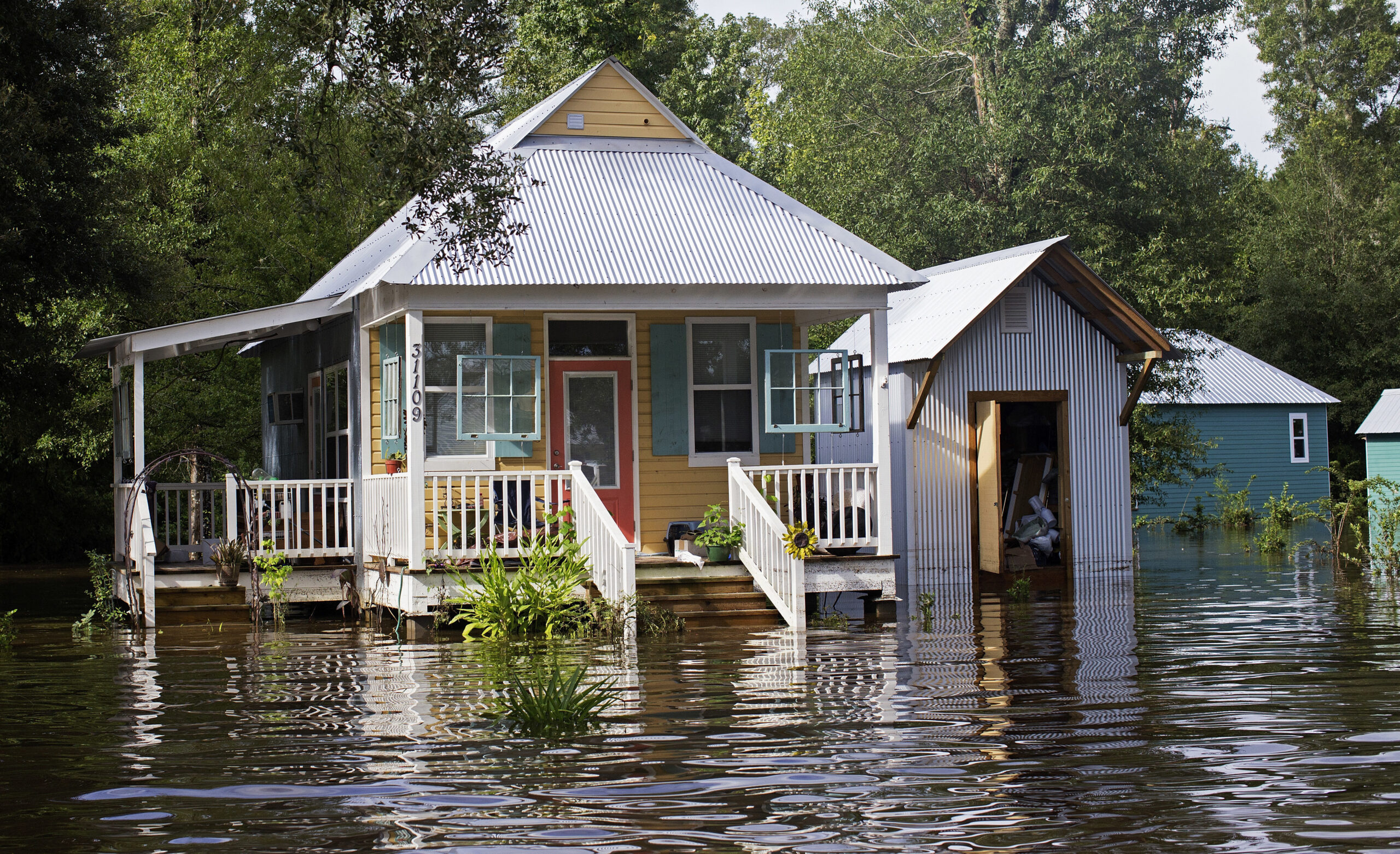 DHS encourages illegal immigrants to seek flood aid