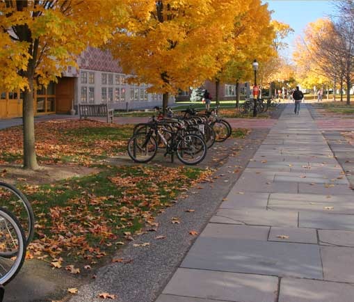 Princeton University officials are deciding whether to give students a meningitis vaccine that hasn't been approved in the U.S. to stop the spread of the disease. (Courtesy photo)