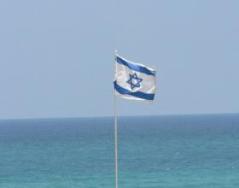 ‘Zionism Derangement Syndrome’