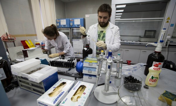 Lawmakers alarmed over Russian doping report