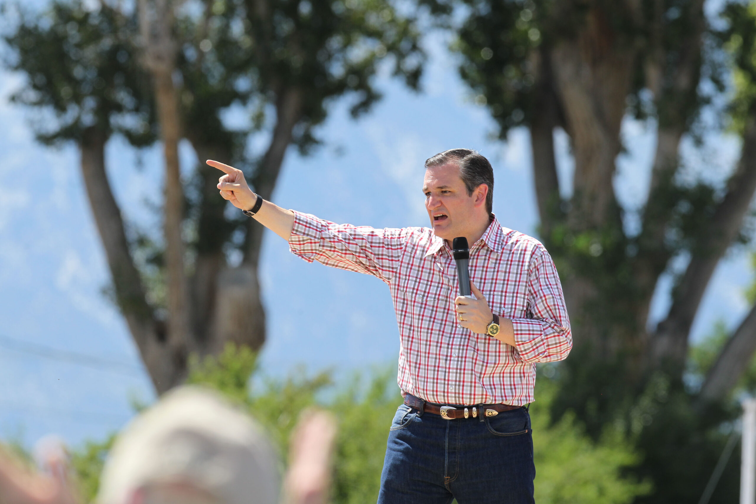 Cruz ‘absolutely’ supports ending birthright citizenship