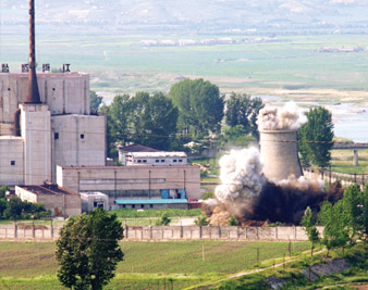 Reactors and Bombs