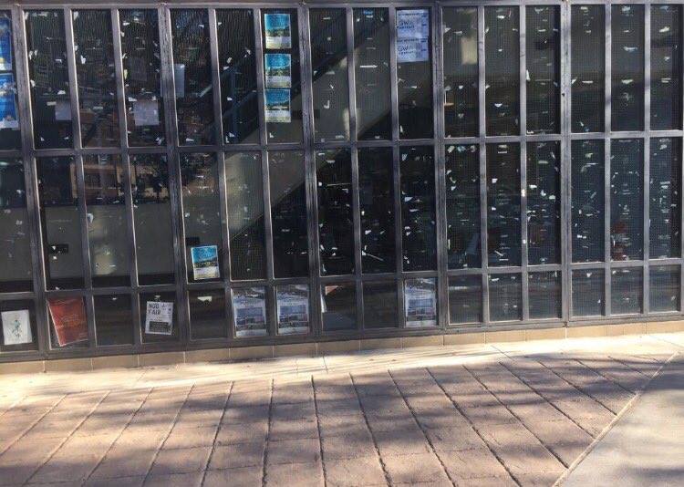 GWU YAF chapter had their event posters ripped down overnight. (Diego Rebollar)