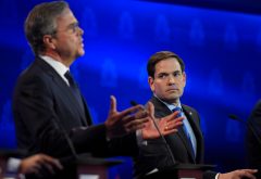 Bush team thinks ‘Marco is a risky bet’
