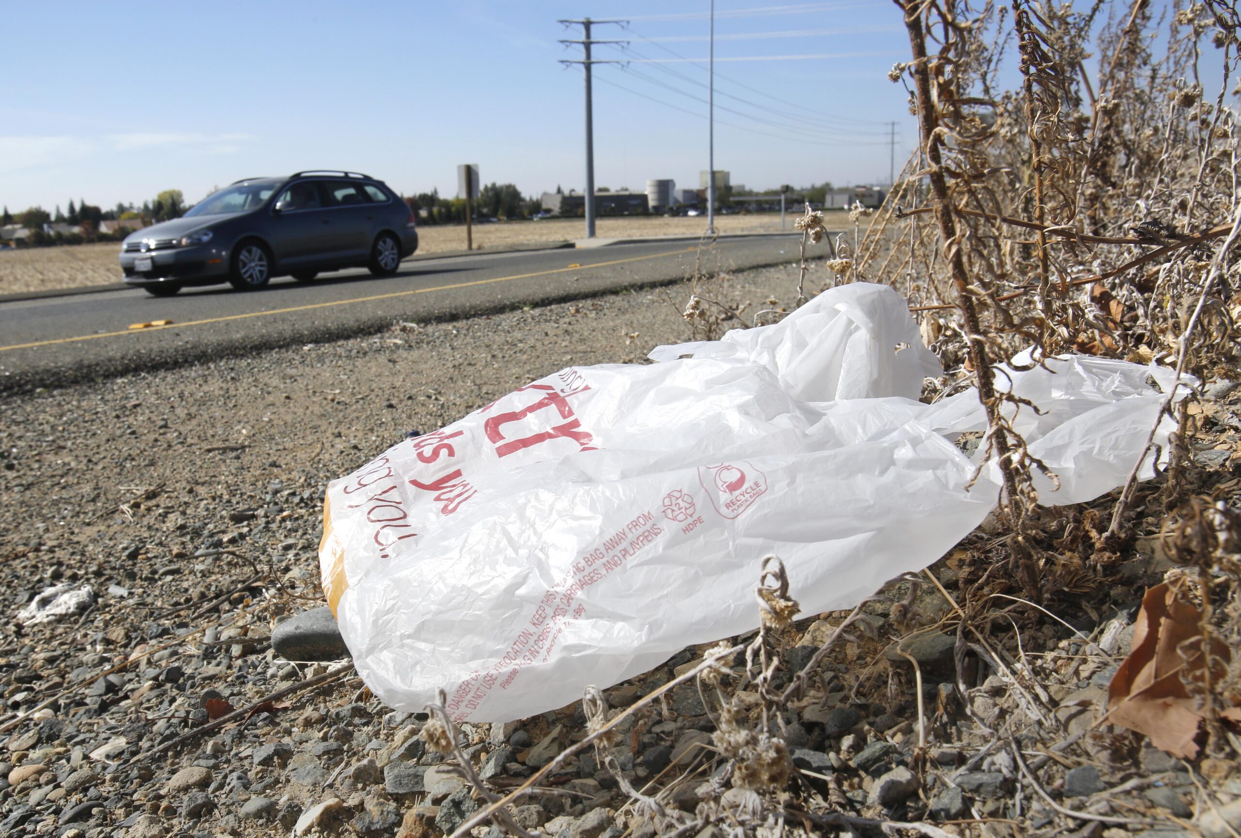 California bans bags; Arizona bags bans