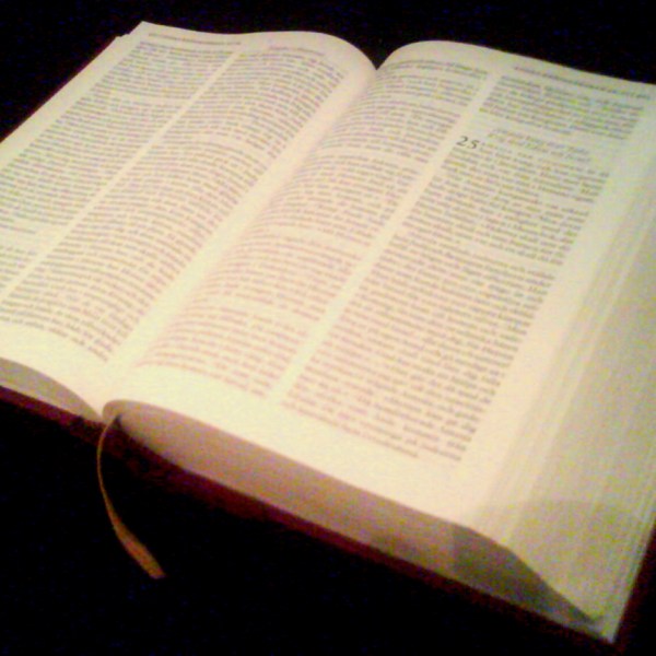 The Fact-Checker’s Bible