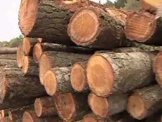 Obama stimulus cash goes to foreign workers