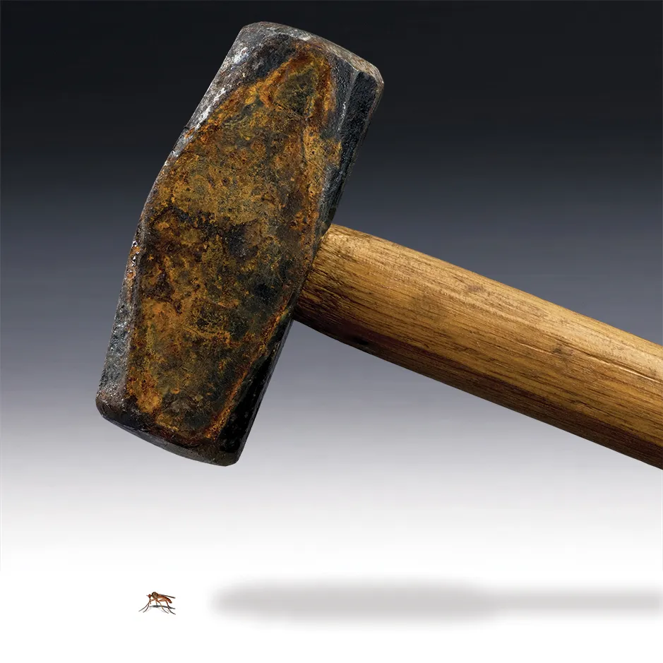 Microaggression and Macrononsense