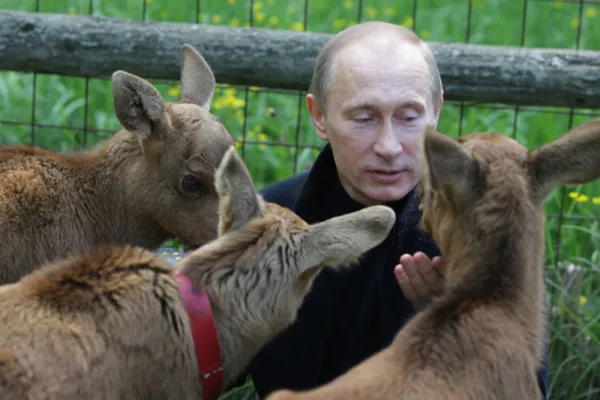 Why Russia May Have Interfered In the Election