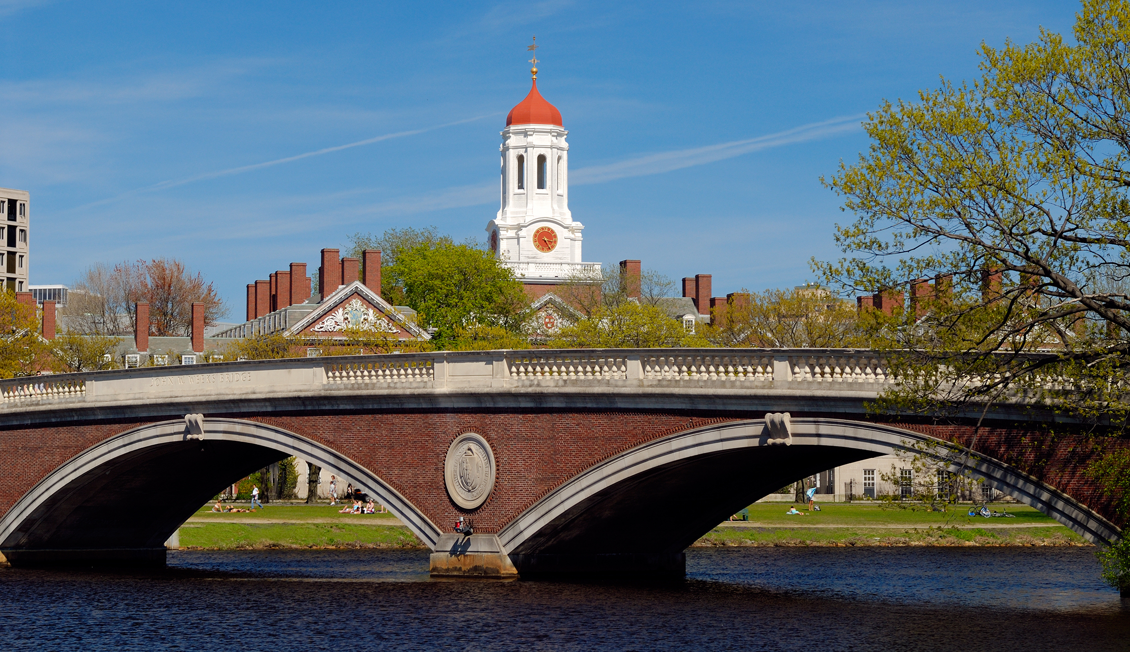 Harvard freshmen to undergo ‘Gender 101’ training in dormitories during study breaks